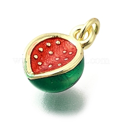 Brass with Enamel Charms&nbsp;KK-Q066-01C-G