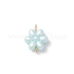 Acrylic Connector Charms&nbsp;PALLOY-JF04338-01
