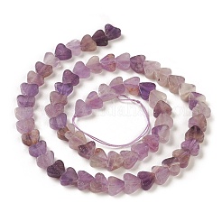 Natural Amethyst Beads Strands&nbsp;G-M403-A13