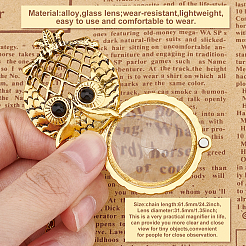 2Pcs 2 Styles Magnifying Glass Magnetic Locket Pendant Necklaces&nbsp;NJEW-CP0001-02