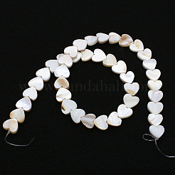 4 Strands Natural Freshwater Shell Beads Strands&nbsp;SHEL-PA0001-06
