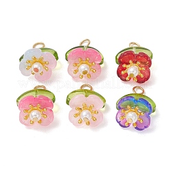 Baking Paint Glass Pendants&nbsp;PALLOY-JF05210