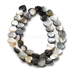 Natural Black Lip Shell Beads Strands&nbsp;SHEL-K006-17