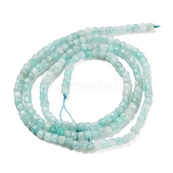 Natural Amazonite Beads Strands&nbsp;G-H042-B16-01