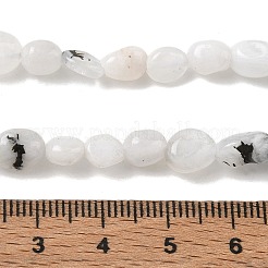 Natural Rainbow Moonstone Beads Strands&nbsp;GG-CBAAEDE-B05