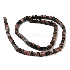 Natural Rhodonite Beads Strands&nbsp;G-G002-A05