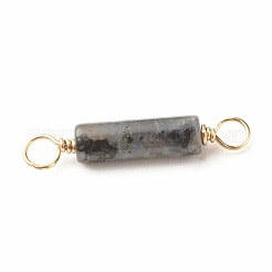 Natural Larvikite Connector Charms&nbsp;PALLOY-JF01454-05