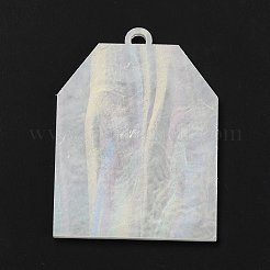 Acrylic Big Pendants&nbsp;SACR-E005-01A