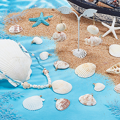 30Pcs 5 Style Natural Shell Pendant&nbsp;PALLOY-PH01860