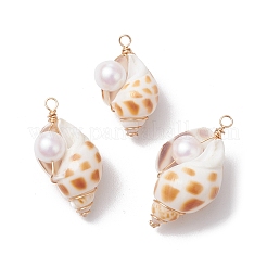 Natural Shell Pendants&nbsp;PALLOY-JF03226