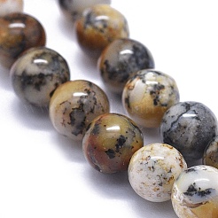 Natural Black Moss Jasper Beads Strands&nbsp;G-K293-F02-B