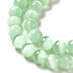 Natural Selenite Beads Strands&nbsp;G-P493-01H