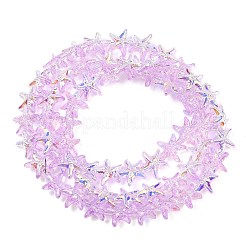 Electroplate Glass Beads Strands&nbsp;EGLA-P069-01A-AB06