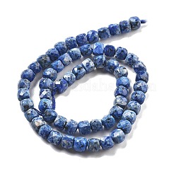 Dyed Natural Sesame Jasper Beads Strands&nbsp;G-C179-B02-01