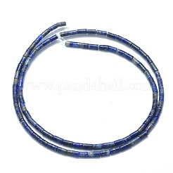 Natural Lapis Lazuli Beads Strands&nbsp;G-F631-B04