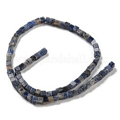 Natural Sodalite Beads Strands&nbsp;G-C084-E06-02