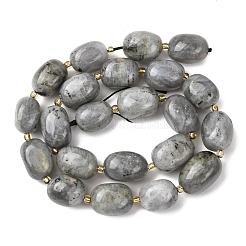 Natural Labradorite Beads Strands&nbsp;G-G453-D10-01