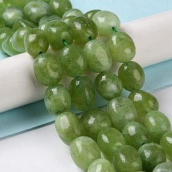 Natural Malaysia Jade Beads Strands&nbsp;G-I283-H14-02