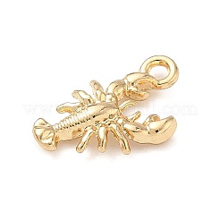 Alloy Pendants&nbsp;FIND-Z101-04G-01