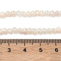 Natural Cultured Freshwater Pearl Beads Strands&nbsp;PEAR-L034-03
