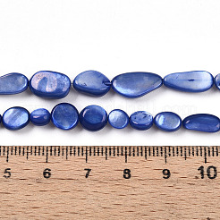Natural White Shell Beads Strands&nbsp;SHEL-N036-21B