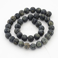Frosted Round Natural Kambaba Jasper Bead Strands&nbsp;G-J276-64-10mm