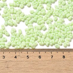 Glass Frosted Seed Beads&nbsp;SEED-K009-05B-06