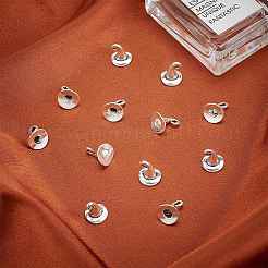 Tibetan Style Alloy Charms&nbsp;TIBE-SC0001-38