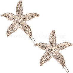 10Pcs Zinc Alloy Hair Barrettes&nbsp;PHAR-SP0001-25