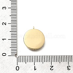 Brass Micro Pave Cubic Zirconia and Acrylic Charms&nbsp;LS-KK-Q035-02G