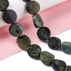Natural Kambaba Jasper Beads Strands&nbsp;G-O120-16