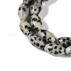 Natural Dalmatian Jasper Beads Strands&nbsp;G-K362-I14-06