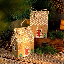 Christmas Theme Gift Sweets Paper Boxes&nbsp;CON-H014-21