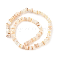 Natural White Shell Beads Strands&nbsp;SSHEL-F304-02B