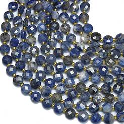 Natural Sodalite Beads Strands&nbsp;G-K389-B31-01