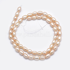 Natural Cultured Freshwater Pearl Beads Strands&nbsp;PEAR-F007-76A-01
