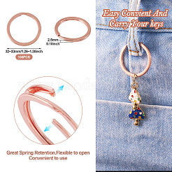 Alloy Split Key Rings&nbsp;PALLOY-TAC0001-01C-RG