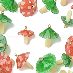 10Pcs 2 Colors Plastic Pendants&nbsp;KY-FS0001-34B
