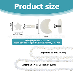 3 Strands 2 Styles Natural Freshwater Shell Beads Strands&nbsp;SHEL-HS0001-10
