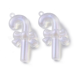 Transparent Acrylic Pendants&nbsp;OACR-P007-31