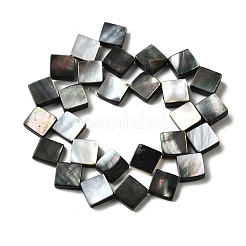 Natural Black Lip Shell Beads Strands&nbsp;BSHE-D300-09