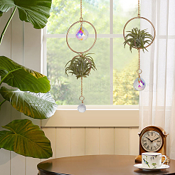 2Pcs Iron Plant Hanger&nbsp;HJEW-OC00169