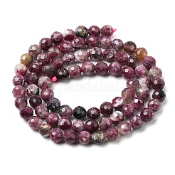Natural Plum Blossom Tourmaline Beads Strands&nbsp;G-G344-C01-6mm