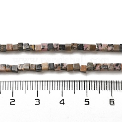 Natural Rhodonite Beads Strands&nbsp;G-B064-A31