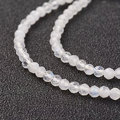 Natural Rainbow Moonstone Bead Strand&nbsp;X-G-G680-53