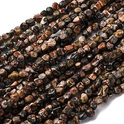Natural Leopard Skin Jasper Beads Strands&nbsp;G-I389-A09