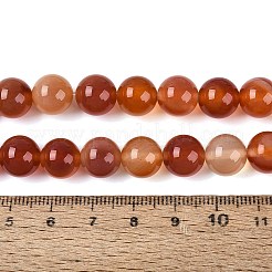 Dyed Natural Agate Beads Strands&nbsp;G-Q606-45A-04