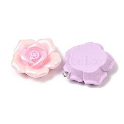 Opaque Resin Pendants&nbsp;RESI-B035-01