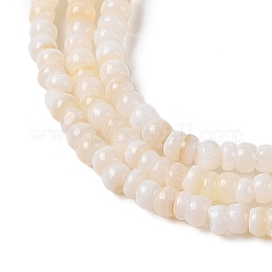 Natural Freshwater Shell Beads Strands&nbsp;SHEL-P017-01B-02