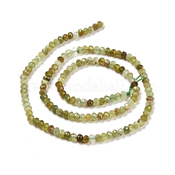 Natural Green Garnet Beads Strands&nbsp;G-E194-05